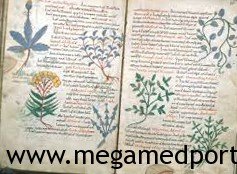 Средневековая исламская медицина