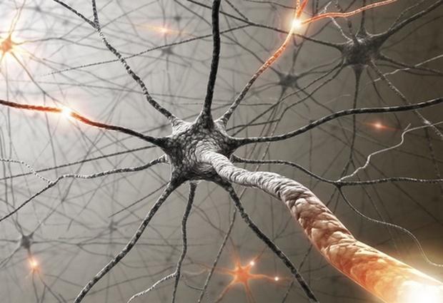 Заболевания нервной системы: причины, симптоматика