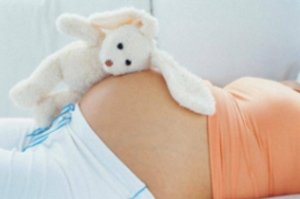 Развитие малыша: триместры беременности