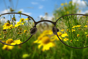 Естественное восстановление зрения