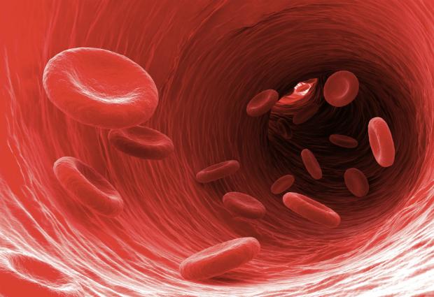Учеными создана искусственная кровь из стволовых клеток