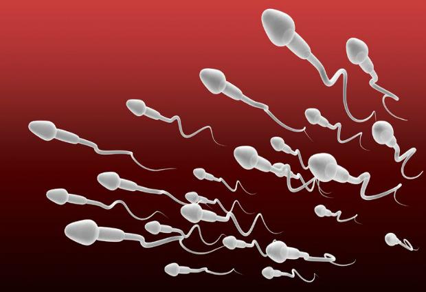 Состояние спермы может рассказать о здоровье мужчины