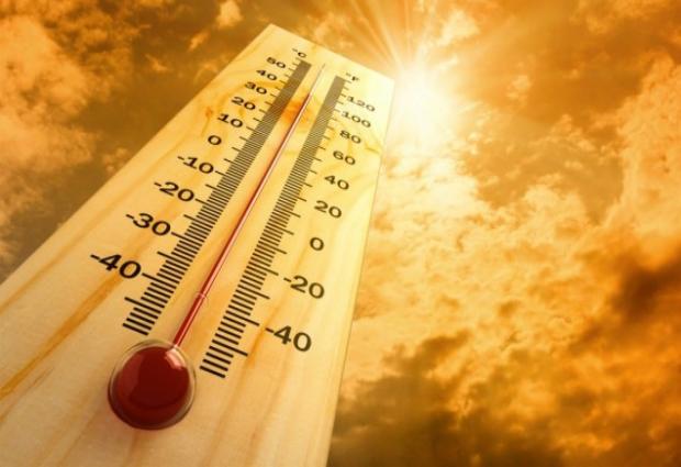 Смертность от жары растет по всему миру