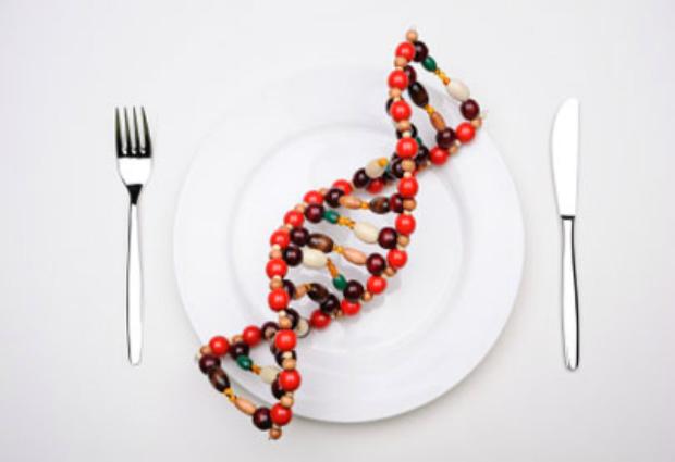 Сибирские ученые научились подбирать диету по ДНК