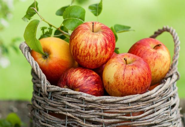 Полезность яблок удивила даже ученых