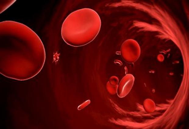 Ученые создали клетки кровеносных сосудов