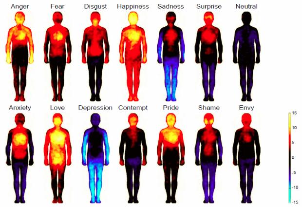 Ученые составили карту эмоций человека