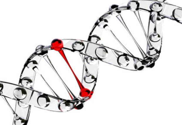 ​Ученые могут воссоздать лицо по ДНК