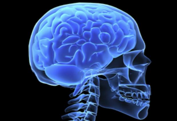 "Трепанация" черепа в семь раз ускоряет работу мозга, выяснили ученые