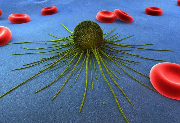 Учеными впервые создана раковая стволовая клетка