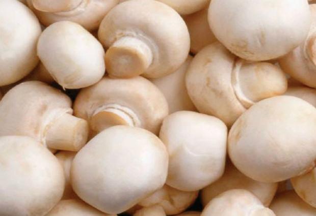 От рака защитит недорогой продукт