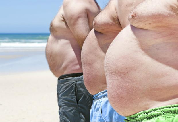 Жирная пища не приводит к ожирению, заявили ученые