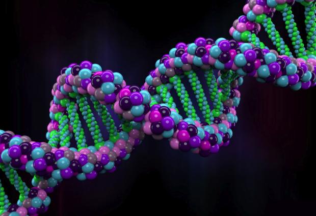 Ученые научились определять, от кого из родителей унаследован ген