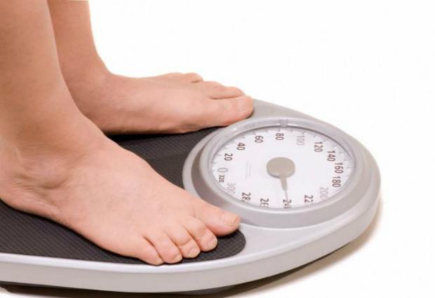 Антиоксидант темпол предотвратит ожирение - MegaMedPortal