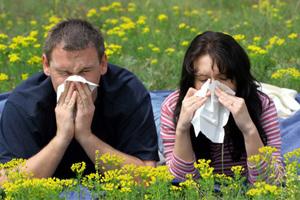 До 75% астматиков страдают от аллергии, говорят исследователи
