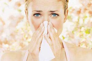 Березовая пыльца помогает аллергикам
