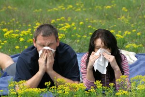 Ученые советуют не путать летнюю простуду с аллергией
