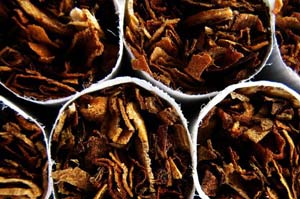Табак способен победить рак