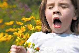 Зачатые зимой дети склонны к развитию аллергии