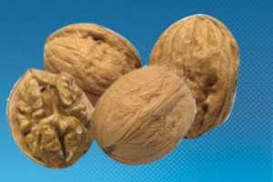 Грецкие орехи — ключ к долголетию