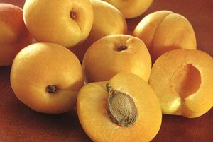 Абрикосы – самая полезная косточковая культура