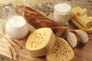 Сыр и молоко ускоряют метаболизм