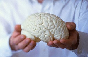 Ученые разрабатывают симулятор человеческого мозга