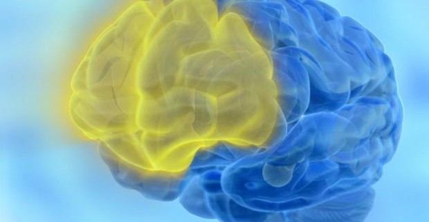 Двигательная кора головного мозга может стать более эффективной при постоянной практике
