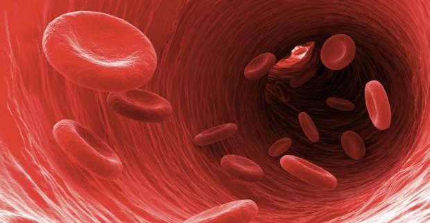 Учеными создана искусственная кровь из стволовых клеток
