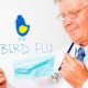В Канаде зафиксирован первый случай заражения человека птичьим гриппом