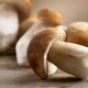 Ученые создали бодрящий напиток из грибов