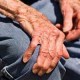Найдено потенциальное лечение болезней Паркинсона и Альцгеймера