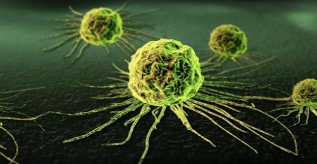 Ученые: перекись может отравлять клетки рака