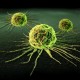 Ученые: перекись может отравлять клетки рака
