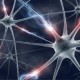 Ученые разработали новый метод регенерации нервных клеток