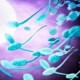Систематические половые акты улучшают сперму