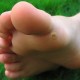 Полезные свойства чистотела от бородавки на ноге