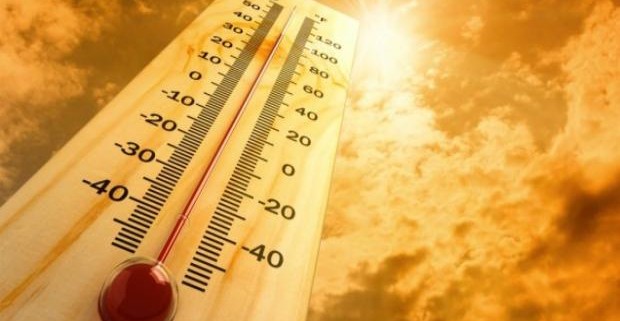 Смертность от жары растет по всему миру
