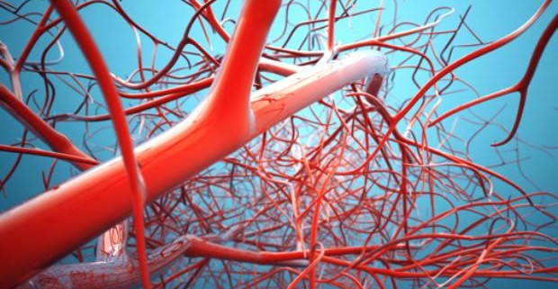 Учеными создан метод для восстановления кровеносных сосудов