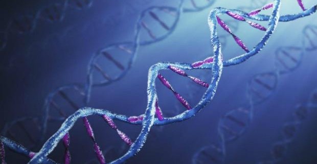 Ученым впервые удалось исправить дефектный ген