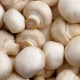 Найдены грибы, защищающие организм от рака