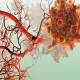 Ученые заглянули внутрь механизма ангиогенеза при метастазах рака легких