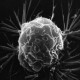 Ученым удалось сделать рентген живой раковой клетки