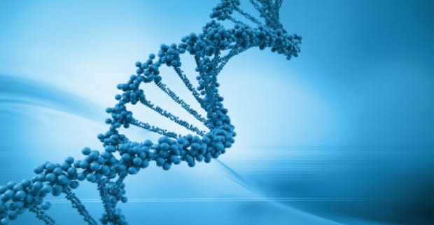 Учеными взломан ген, отвечающий за треть всех случаев рака