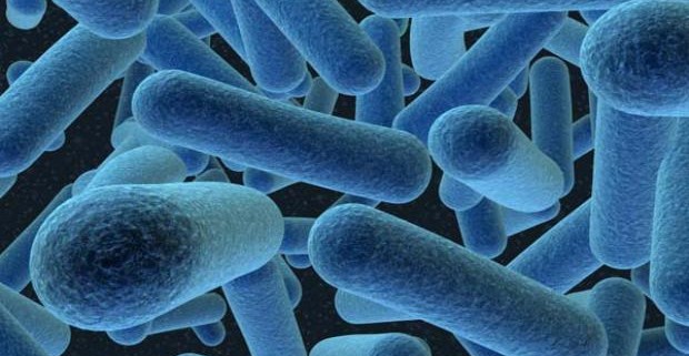 Датскими учеными собраны неотразимые комбинации антибиотиков