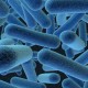 Датскими учеными собраны неотразимые комбинации антибиотиков