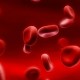 В Румынии создана «искусственная» кровь из червей