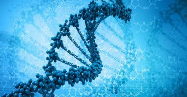 Открыты новые генетические риски по отношению к эпилепсии