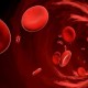 Ученые создали клетки кровеносных сосудов
