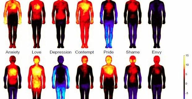 Ученые составили карту эмоций человека